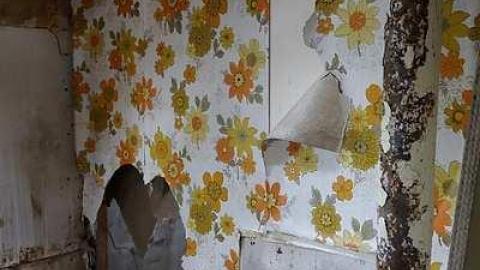 Photo from Beauty Eh? '16