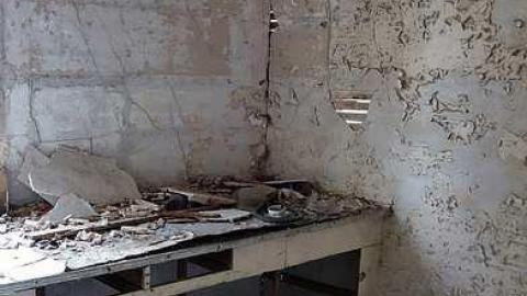 Beauty Eh? '16 - DSC01304.jpg