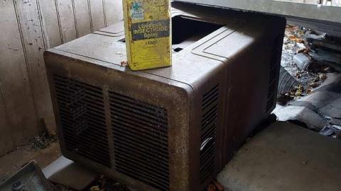 Beauty Eh? '16 - DSC01306.jpg