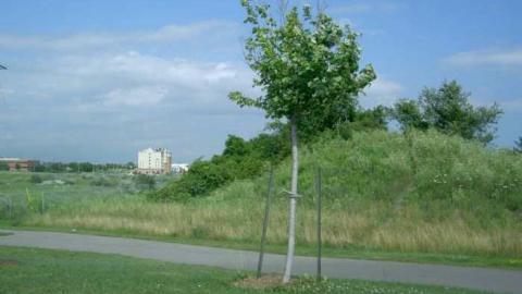 Clarke+Darlington= Clarington - Claringtons-Lost-Communities37.jpg