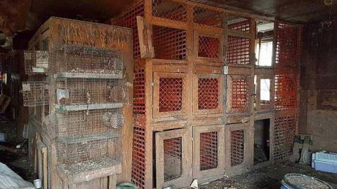 Cages and Toys - 20170326_185207.jpg