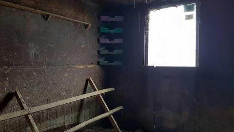 Cages and Toys - 20170326_185232.jpg