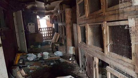 Cages and Toys - 20170326_185254.jpg