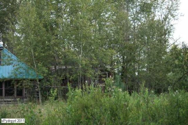 Haliburton Log Cabin photo 4