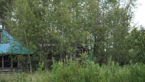 Photo from August 2011