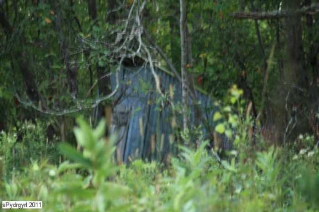 Haliburton Log Cabin photo 5