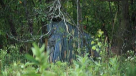 Photo from August 2011