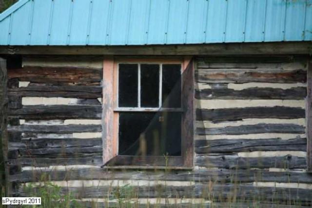 Haliburton Log Cabin photo 3
