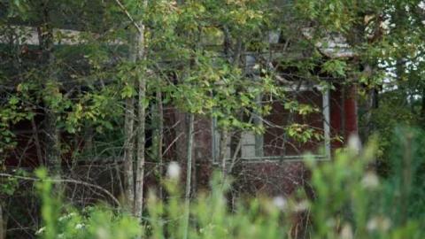 August 2011 - IMG_6078.jpg