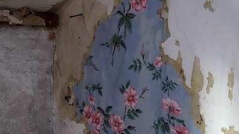 Wallpaper Gold '16 - Donald-Schenk-farm22.jpg