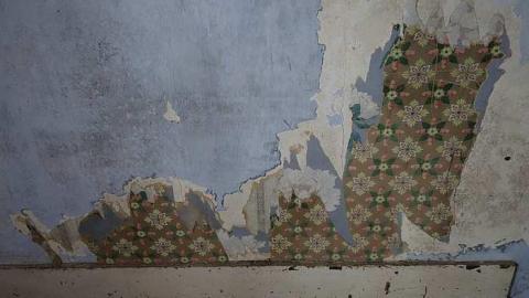 Wallpaper Gold '16 - Donald-Schenk-farm12.jpg