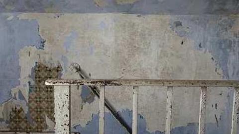 Wallpaper Gold '16 - Donald-Schenk-farm23.jpg