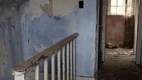 Wallpaper Gold '16 - Donald-Schenk-farm14.jpg