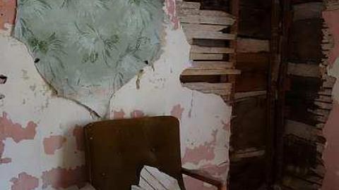 Wallpaper Gold '16 - Donald-Schenk-farm25.jpg