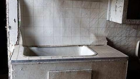 Wallpaper Gold '16 - Donald-Schenk-farm17.jpg