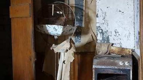 Wallpaper Gold '16 - Donald-Schenk-farm18.jpg