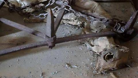 Wallpaper Gold '16 - Donald-Schenk-farm29.jpg