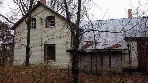 Wallpaper Gold '16 - Donald-Schenk-farm19.jpg