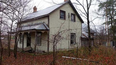 Wallpaper Gold '16 - Donald-Schenk-farm30.jpg