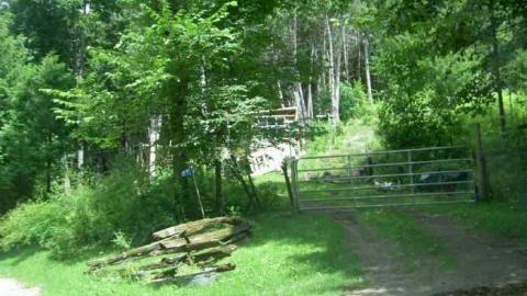 Summer 2010 with mom - Glanmire-(ghost-town)-Gallery2.jpg