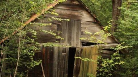 Soyers Road Drive Shed - Dysart Et Al, Ontario