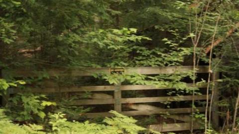 Soyers Road Drive Shed photo 5