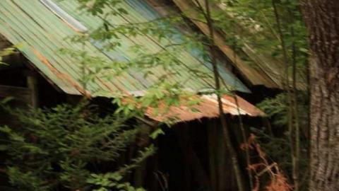 Soyers Road Drive Shed photo 3