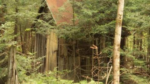 Soyers Road Drive Shed photo 2