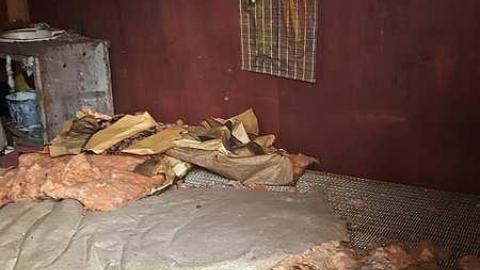 MacGregor Riverside Cabins photo 5