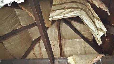 MacGregor Cabins - MacGregor-Riverside-Cabins3.jpg