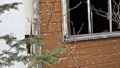 MacGregor Riverside Cabins photo 2