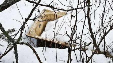 MacGregor Cabins - MacGregor-Riverside-Cabins6.jpg