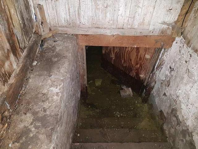 Swimming in the Basement photo 3