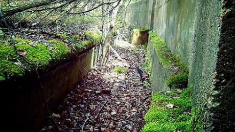 Depot Harbour  - Depot-Harbour-(ghost-town)8.jpg