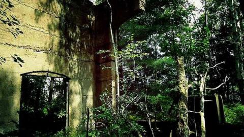 Depot Harbour  - Depot-Harbour-(ghost-town)10.jpg