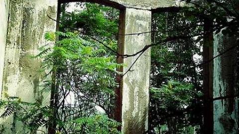 Depot Harbour  - Depot-Harbour-(ghost-town)6.jpg