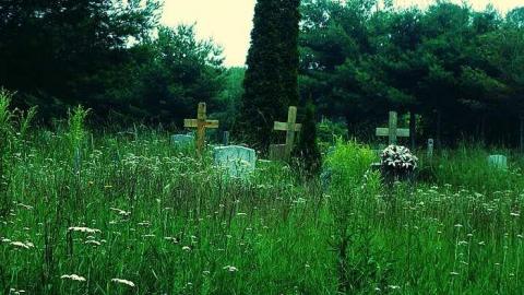 Depot Harbour  - Depot-Harbour-(ghost-town)15.jpg