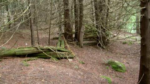 Summer 2010 with mom - Glanmire-(ghost-town)-Gallery5.jpg