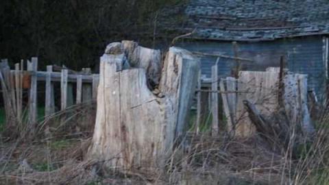 August 2011 - IMG_4542.jpg