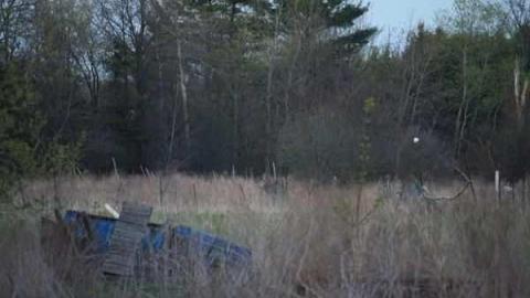 Photo from August 2011