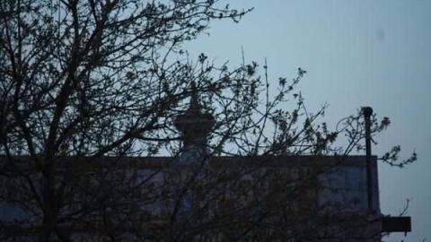 August 2011 - IMG_4549.jpg