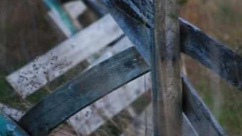 August 2011 - IMG_4550.jpg