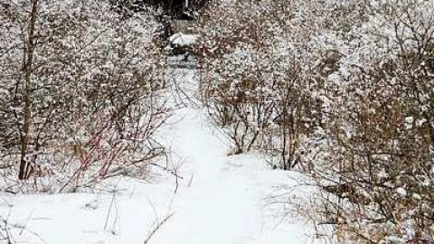 Old town bridge  - Bascule-Bridge5.jpg