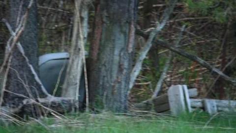 August 2011 - IMG_4551.jpg