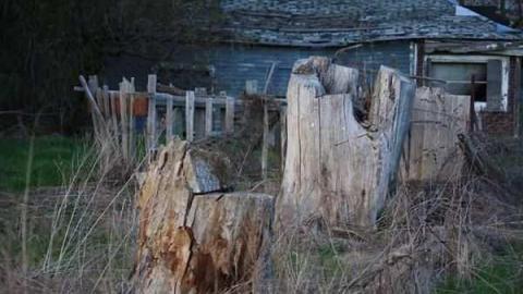 Photo from August 2011