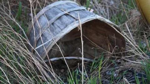 August 2011 - IMG_4557.jpg