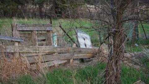 August 2011 - IMG_4558.jpg