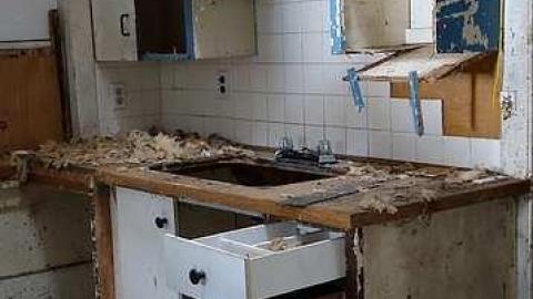 Will's Decay '16 - DSC03909.jpg