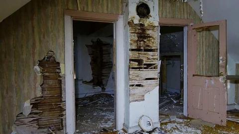 Photo from Will's Decay '16