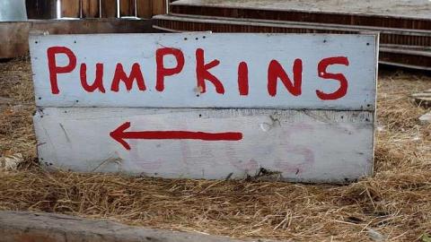 Back To The Barn '16 - DSC03963.jpg